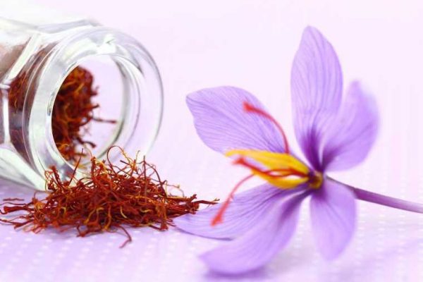 Trải nghiệm sử dụng các sản phẩm từ saffron