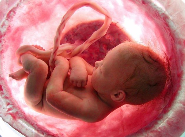 Lần khám thai 37 tuần cho thấy hình ảnh siêu âm thai nhi đã phát triển gần như toàn diện.
